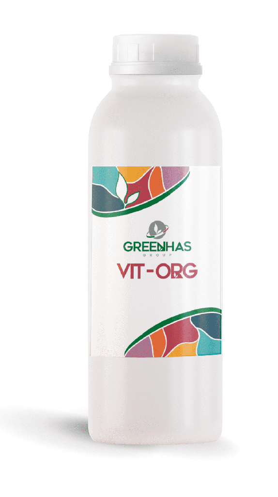 VIT-ORG